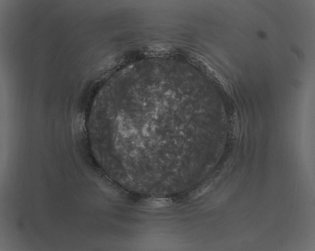 X0000116580711200912241654