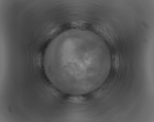 X0000116580712200912241654