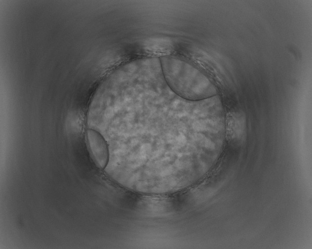 X0000116580713200912241654