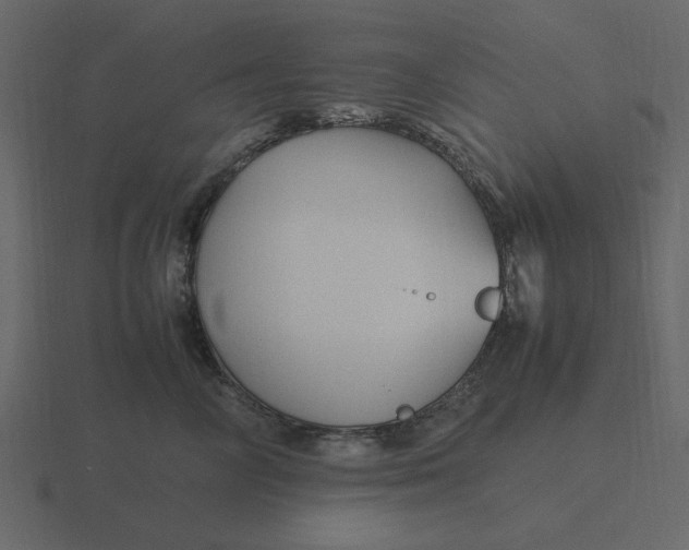 X0000116580714200912241654