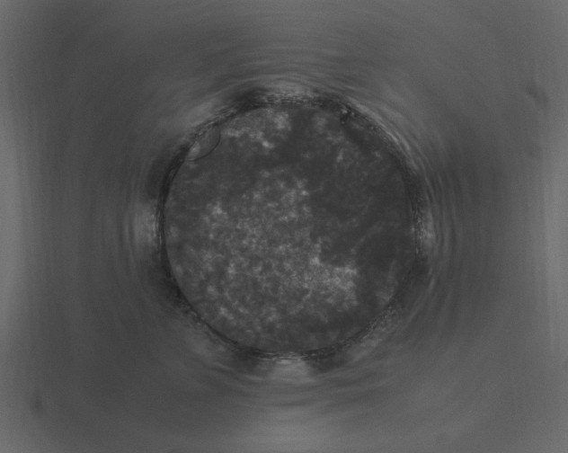 X0000116580715200912241654