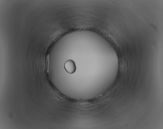 X0000116580716200912241654