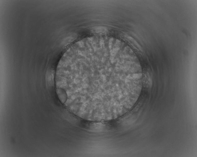 X0000116580717200912241654