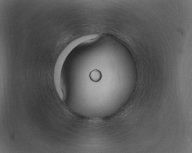 X0000116580720200912241654