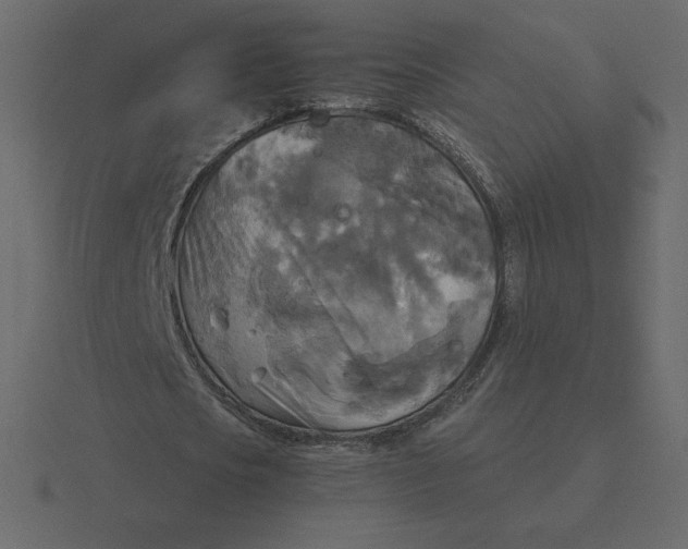 X0000116580721200912241653