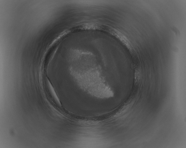 X0000116580722200912241653