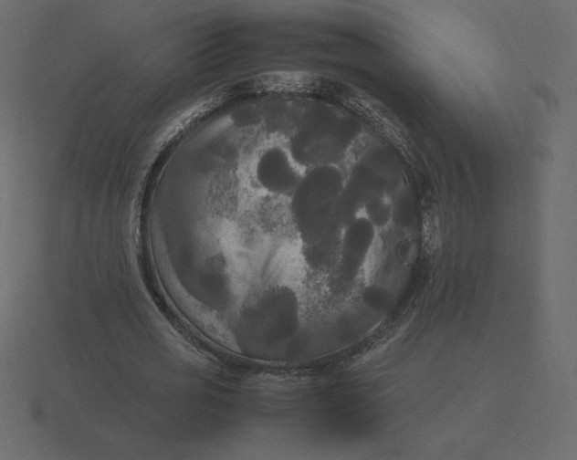 X0000116580725200912241653