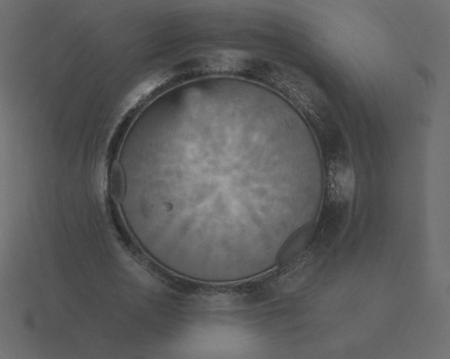 X0000116580726200912241653