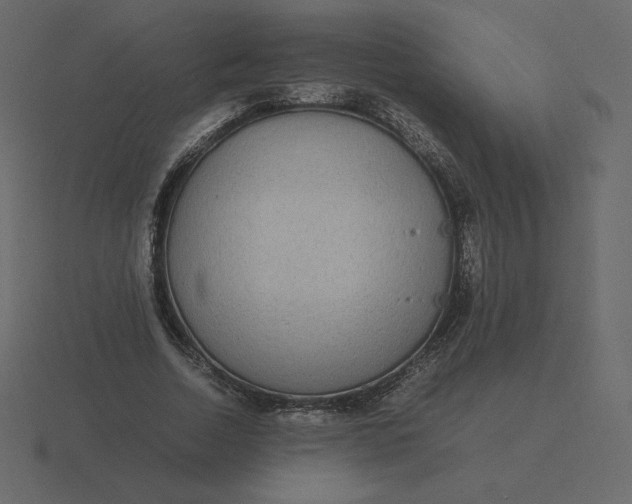 X0000116580730200912241653