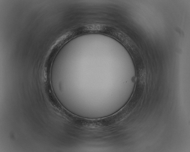 X0000116580731200912241653