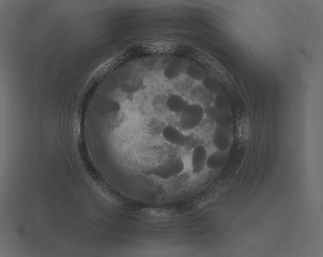 X0000116580733200912241653