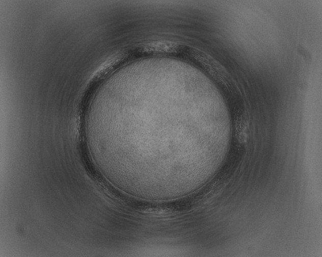 X0000116580735200912241654