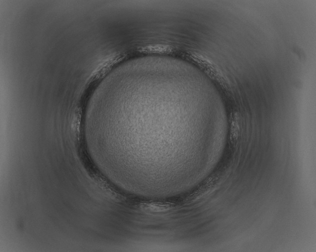 X0000116580739200912241654