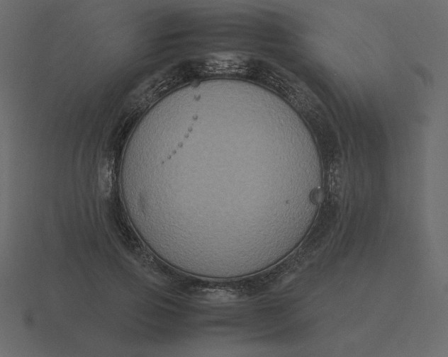 X0000116580741200912241654