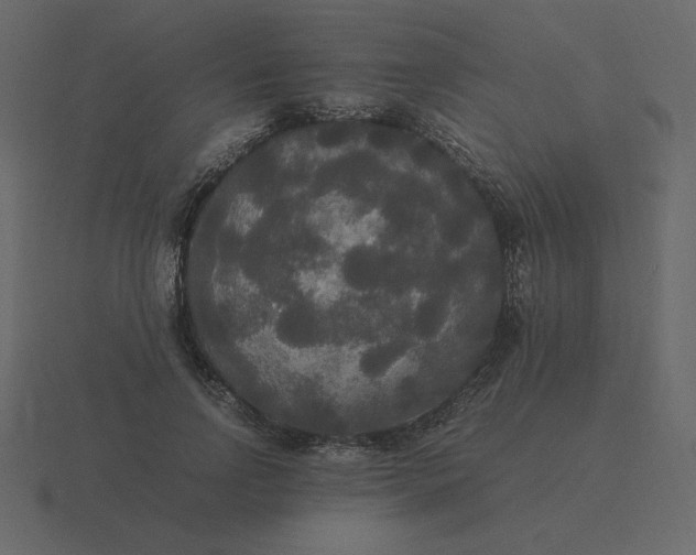 X0000116580742200912241654