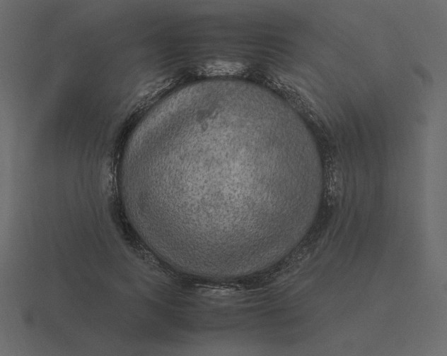 X0000116580743200912241654