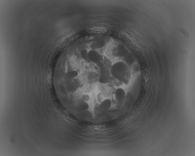 X0000116580745200912241654