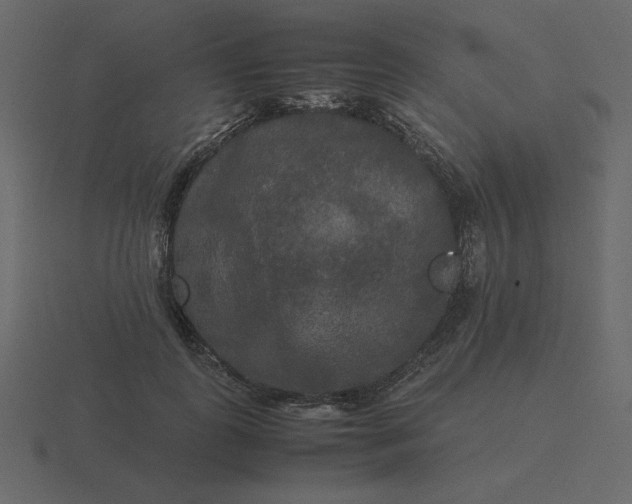 X0000116580747200912241654