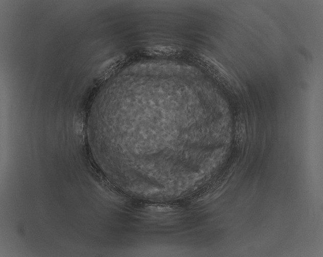 X0000116580749200912241654