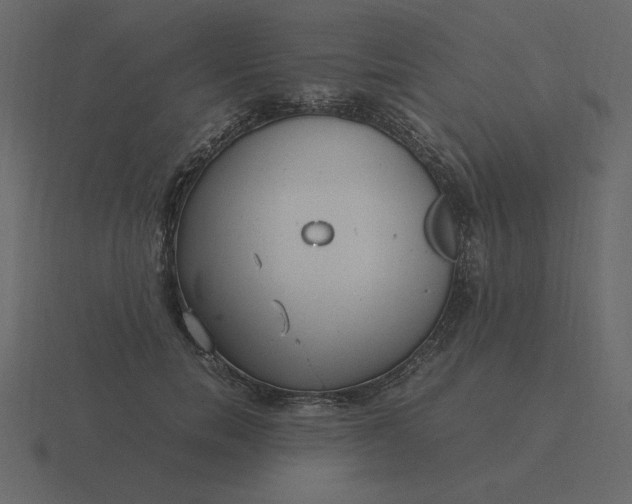 X0000116580750200912241654