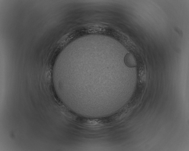 X0000116580753200912241654