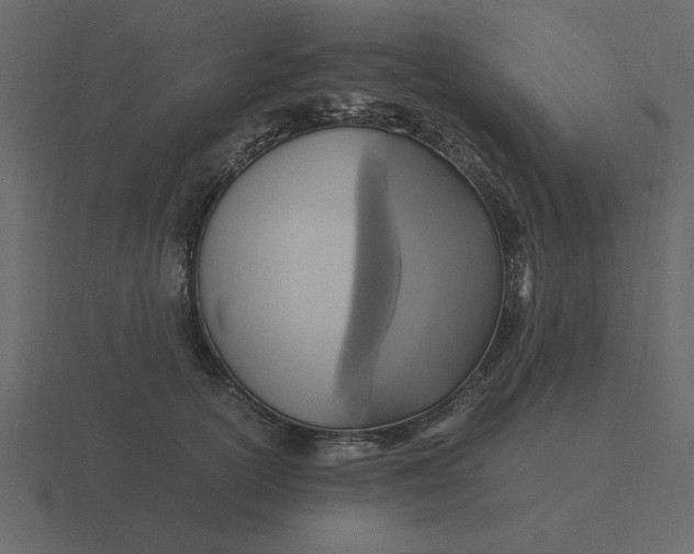 X0000116580754200912241654