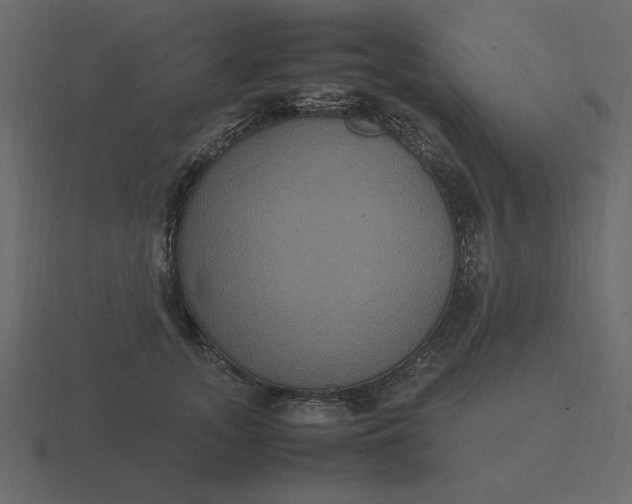 X0000116580755200912241654