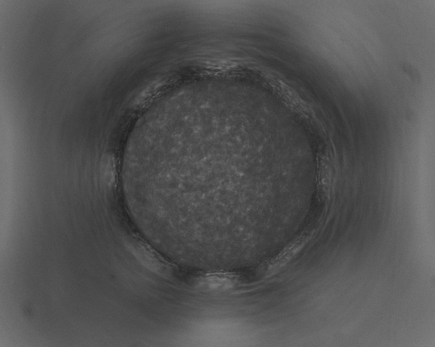 X0000116580758200912241654