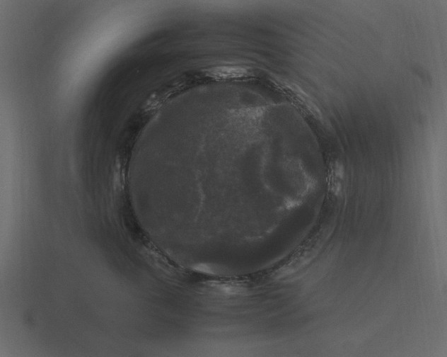 X0000116580763200912241654