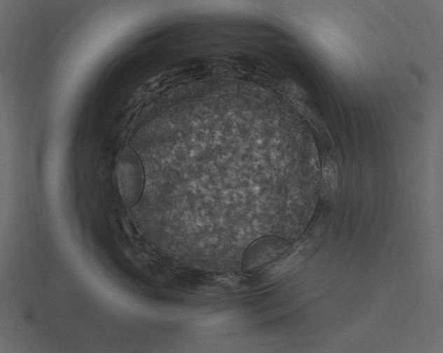 X0000116580765200912241654