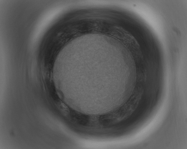 X0000116580766200912241654