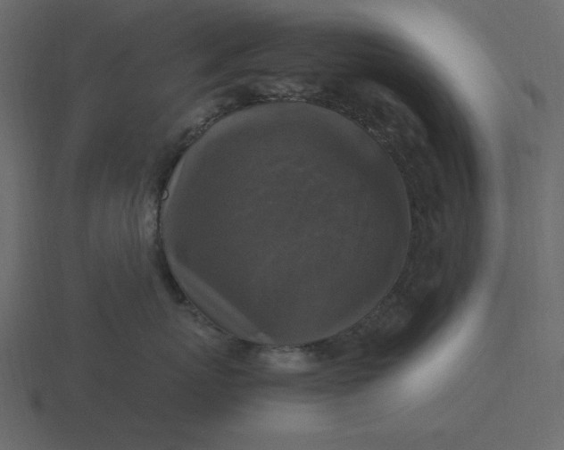 X0000116580767200912241654