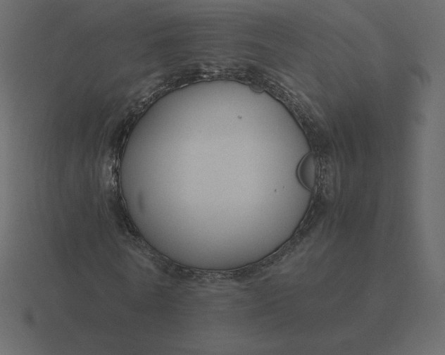 X0000116580770200912241653