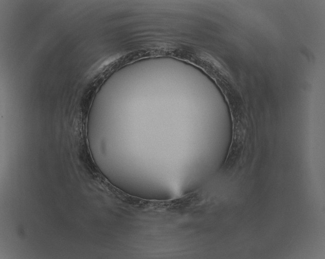 X0000116580773200912241653