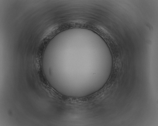 X0000116580774200912241653