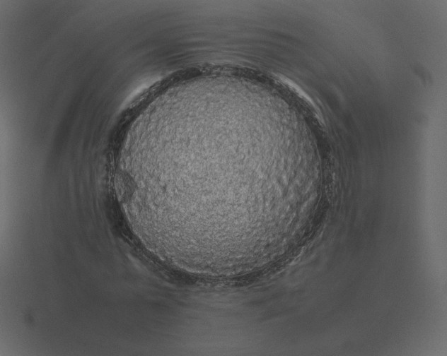 X0000116580775200912241653