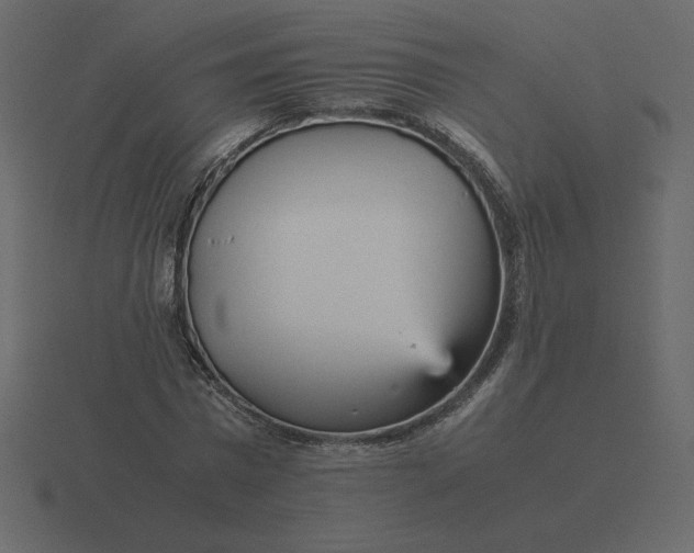 X0000116580777200912241653