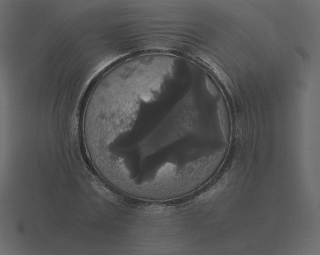 X0000116580779200912241653