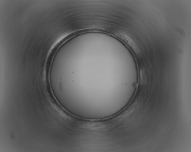 X0000116580780200912241653