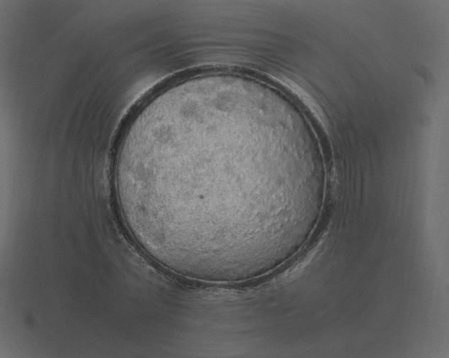 X0000116580783200912241653