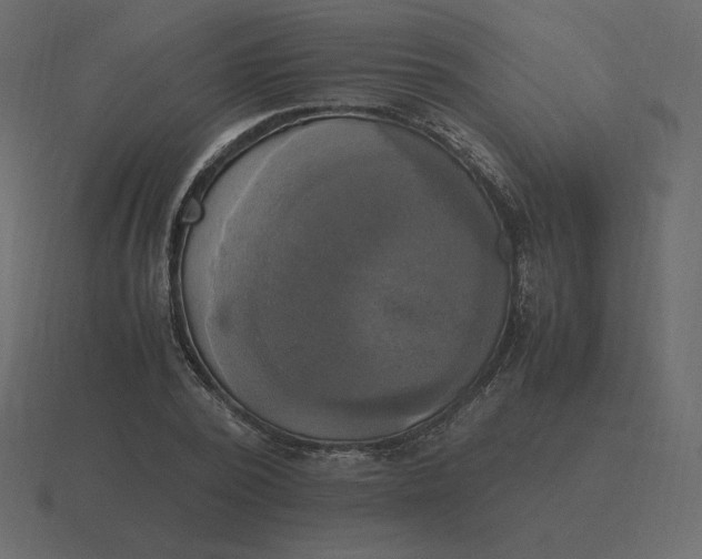 X0000116580784200912241653