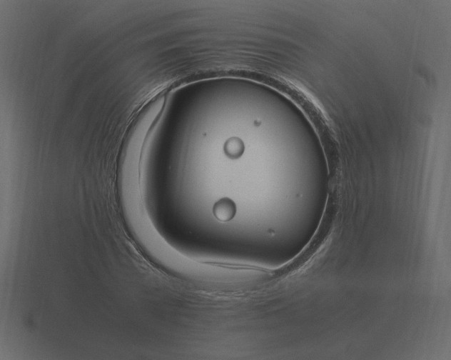 X0000116580785200912241653