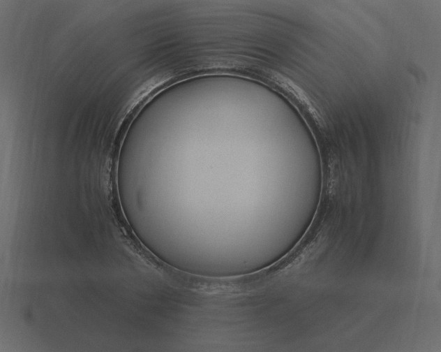 X0000116580786200912241653