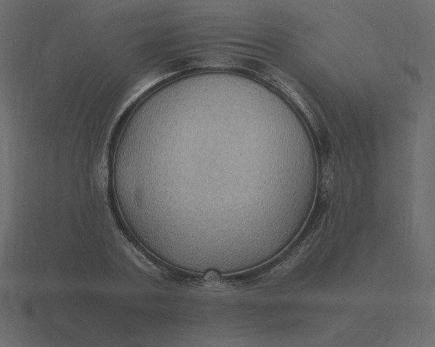 X0000116580787200912241653