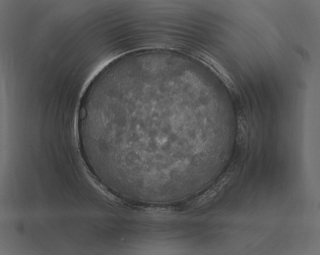 X0000116580788200912241653