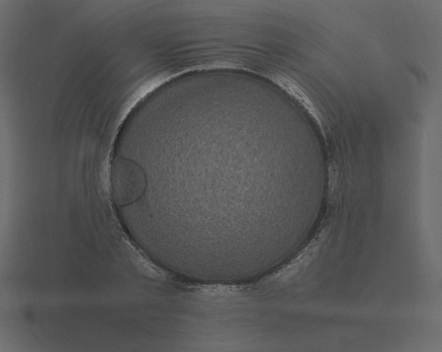 X0000116580789200912241653