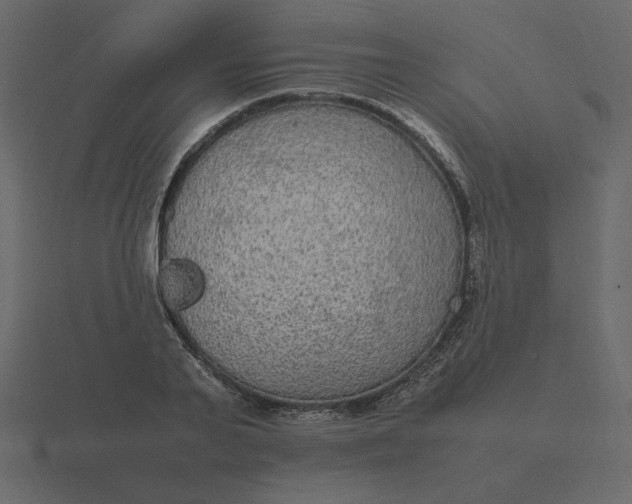 X0000116580791200912241653