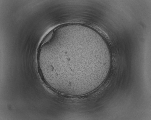 X0000116580792200912241653