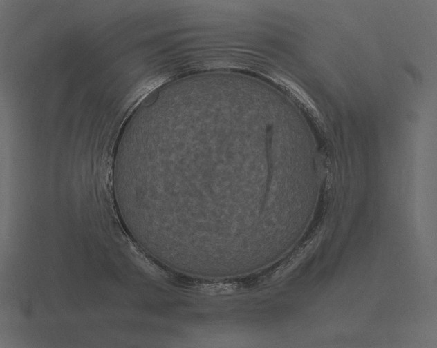 X0000116580793200912241653