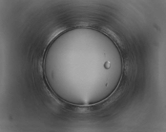 X0000116580794200912241653